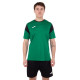 Форма футбольна комплект футболка та шорти Joma PHOENIX 102741-451 XS-2XL зелений-чорний