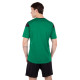 Форма футбольна комплект футболка та шорти Joma PHOENIX 102741-451 XS-2XL зелений-чорний