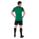 Форма футбольна комплект футболка та шорти Joma PHOENIX 102741-451 XS-2XL зелений-чорний