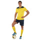 Форма футбольна комплект футболка та шорти Joma PHOENIX III 103124-903 4XS-XL жовтий-темно-синій