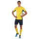 Форма футбольна комплект футболка та шорти Joma DANUBIO II 103213-903 4XS-XL жовтий-темно-синій