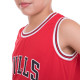 Форма баскетбольна дитяча NBA клуб Chicago Bulls 23 5351 S-2XL кольори в асортименті