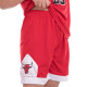 Форма баскетбольна дитяча NBA клуб Chicago Bulls 23 5351 S-2XL кольори в асортименті