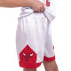 Форма баскетбольна дитяча NBA клуб Chicago Bulls 23 5351 S-2XL кольори в асортименті