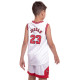 Форма баскетбольна дитяча NBA клуб Chicago Bulls 23 5351 S-2XL кольори в асортименті