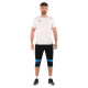 Шорти-бриджі 3/4 спортивні чоловічі LIDONG 9702 L-3XL кольори в асортименті