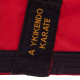 Кімоно для айкікендо карате куртка штани та пояс AYKIKENDO KARATE BALLONSTAR AKS 120-190см червоний-чорний