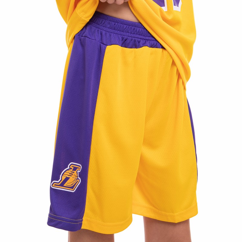 Форма баскетбольна дитяча NBA клуб Los Angeles Lakers 23 BA-0563 S-2XL кольори в асортименті
