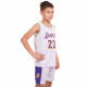 Форма баскетбольна дитяча NBA клуб Los Angeles Lakers 23 BA-0563 S-2XL кольори в асортименті