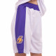 Форма баскетбольна дитяча NBA клуб Los Angeles Lakers 23 BA-0563 S-2XL кольори в асортименті