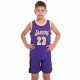 Форма баскетбольна дитяча NBA клуб Los Angeles Lakers 23 BA-0563 S-2XL кольори в асортименті