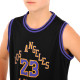 Форма баскетбольна дитяча NBA клуб Los Angeles Lakers 23 BA-6596 S-2XL темно-синій