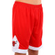 Форма баскетбольна дитяча NBA клуб Chicago Bulls 23 BA-6654 S-2XL червоний-блакитний