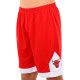 Форма баскетбольна дитяча NBA клуб Chicago Bulls 23 BA-6654 S-2XL червоний-блакитний
