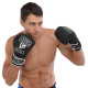 Боксерські рукавиці HARD TOUCH BO-4658 10-14 унцій кольори в асортименті