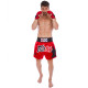 Шорти для тайського боксу та кікбоксингу FAIRTEX BS0638 S-2XL кольори в асортименті