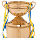 Кубок спортивний нагородний SP-Sport Cup C-1505A висота 57см золотий