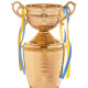 Кубок спортивний нагородний SP-Sport Cup C-1505B висота 50см золотий