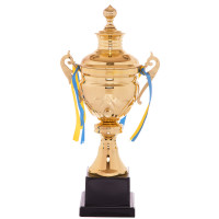 Кубок спортивний нагородний SP-Sport Tale C-2008C висота 43см золотий
