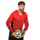 Форма воротарська светр і шорти SP-Sport LIGHT CO-024 S-XXXL кольори в асортименті