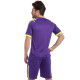 Форма футбольна комплект футболка та шорти SP-Sport Chic CO-1608 S-3XL кольори в асортименті