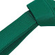 Пояс для кімоно Champion CO-4075 довжина 260-300см зелений