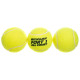 М'ячі для великого тенісу DUNLOP FORT TOURNAMENT SELECT DL601315 3шт салатовий