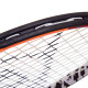 Ракетка для великого тенісу дитяча DUNLOP FORCE COMP DL676933Z 5-6років 21