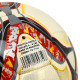 М'яч футбольний SOCCERMAX SNAKE FB-7999 №5 PU кольори в асортименті