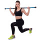 Бодібар Body Bar Zelart FI-2611-4 вага 4кг чорний-блакитний