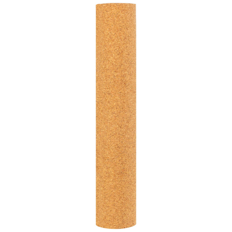 Килимок для йоги Пробковий каучуковий двошаровий Yoga mat Record FI-7156-6 183x61мx0.4cм з принтом Хамса коричневий