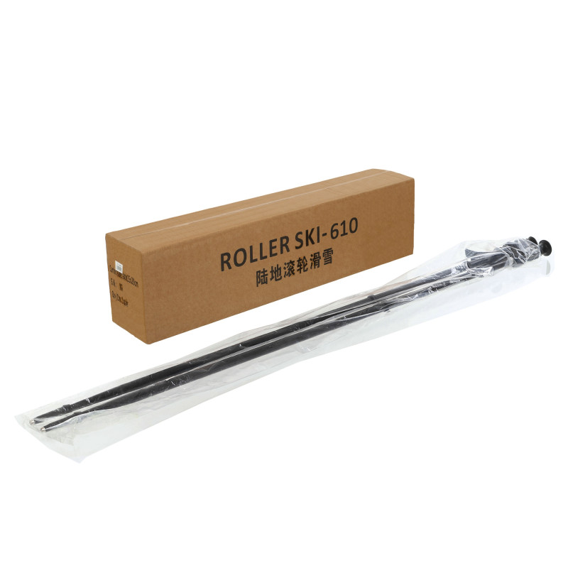 Лижеролери підліткові конькові з кріпленням та палицями в комплекті Dryland SP-Sport FI-7450 чорний