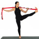 Стрічка стропа з петлями для розтяжки Stretch Strap SP-Sport FI-8369 10 петель кольори в асортименті