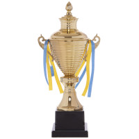 Кубок спортивний нагородний SP-Sport Fairy G108C висота 41см золотий