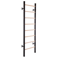 Шведська стінка SP-Planeta Fitness Wood L-6789 сталь дерево чорний-коричневий
