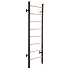 Шведська стінка SP-Planeta Fitness Wood L-6789 сталь дерево чорний-коричневий