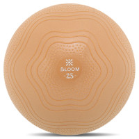 М'яч для пілатесу та йоги BLOOM MINI PILATES BALLl LB7001-25 25см коричневий