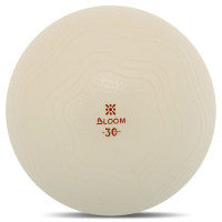 М'яч для пілатесу та йоги BLOOM MINI PILATES BALLl LB7001-30 30см білий