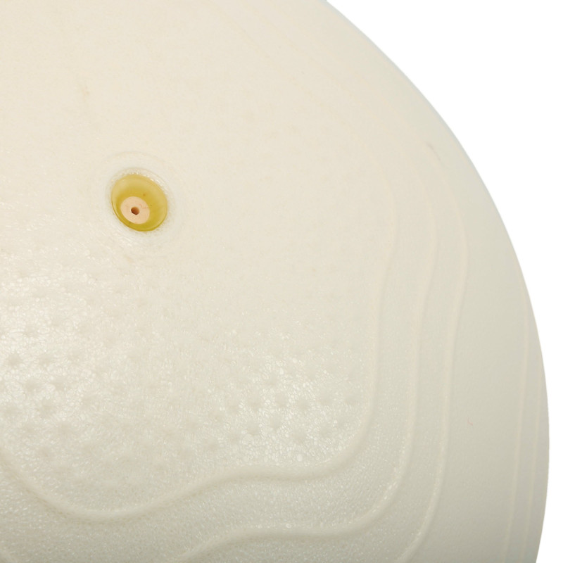 М'яч для пілатесу та йоги BLOOM MINI PILATES BALLl LB7001-30 30см білий