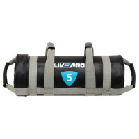 Мішок обтяжувач для функціонального тренінгу Power Bag LiveUp LP8120-5 5кг чорний-сірий