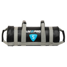 Мішок обтяжувач для функціонального тренінгу Power Bag LiveUp LP8120-5 5кг чорний-сірий
