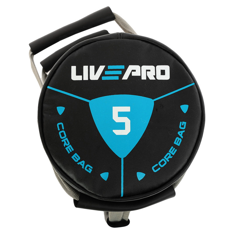 Мішок обтяжувач для функціонального тренінгу Power Bag LiveUp LP8120-5 5кг чорний-сірий