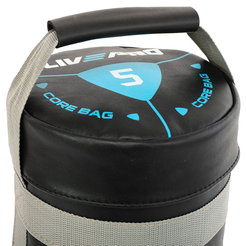 Мішок обтяжувач для функціонального тренінгу Power Bag LiveUp LP8120-5 5кг чорний-сірий