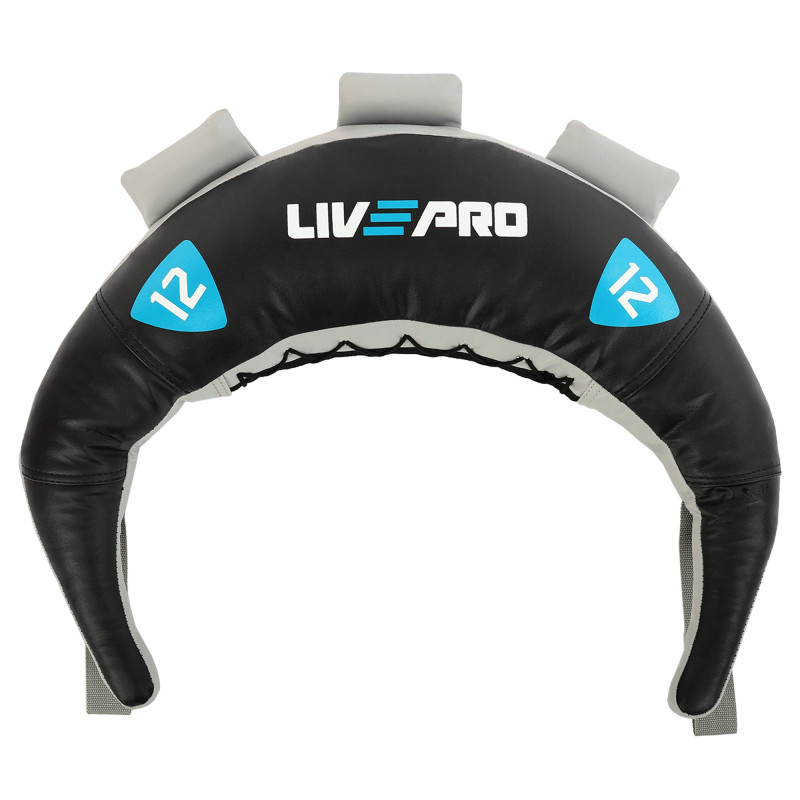 Мішок Болгарський Bulgarian bag LiveUp LP8130-12 12кг чорний-синій