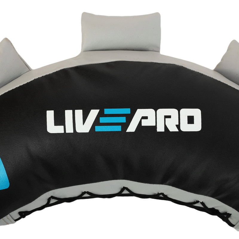 Мішок Болгарський Bulgarian bag LiveUp LP8130-12 12кг чорний-синій