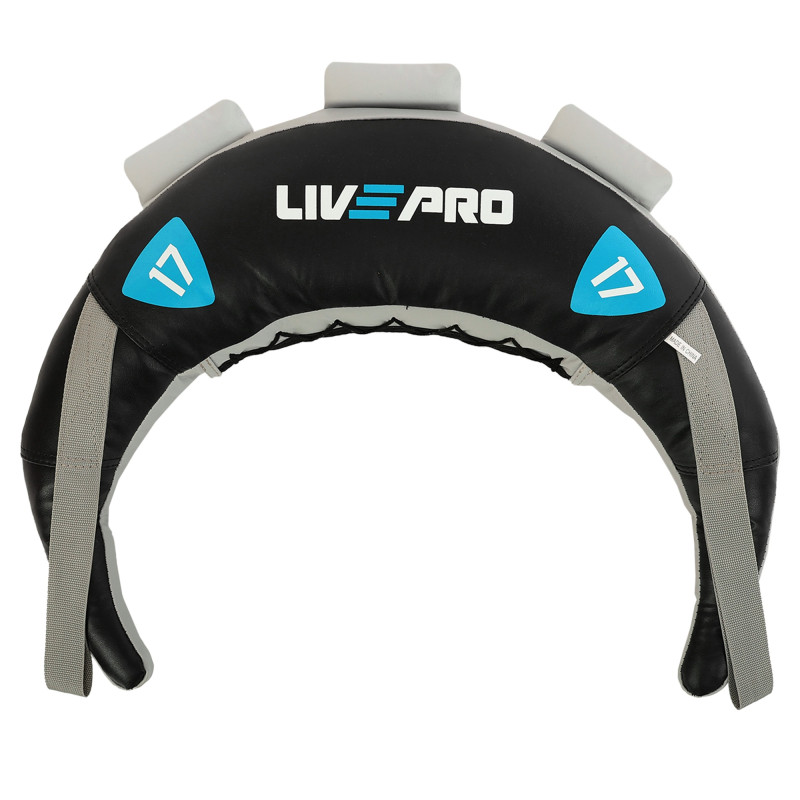 Мішок Болгарський Bulgarian bag LiveUp LP8130-17 17кг чорний-синій