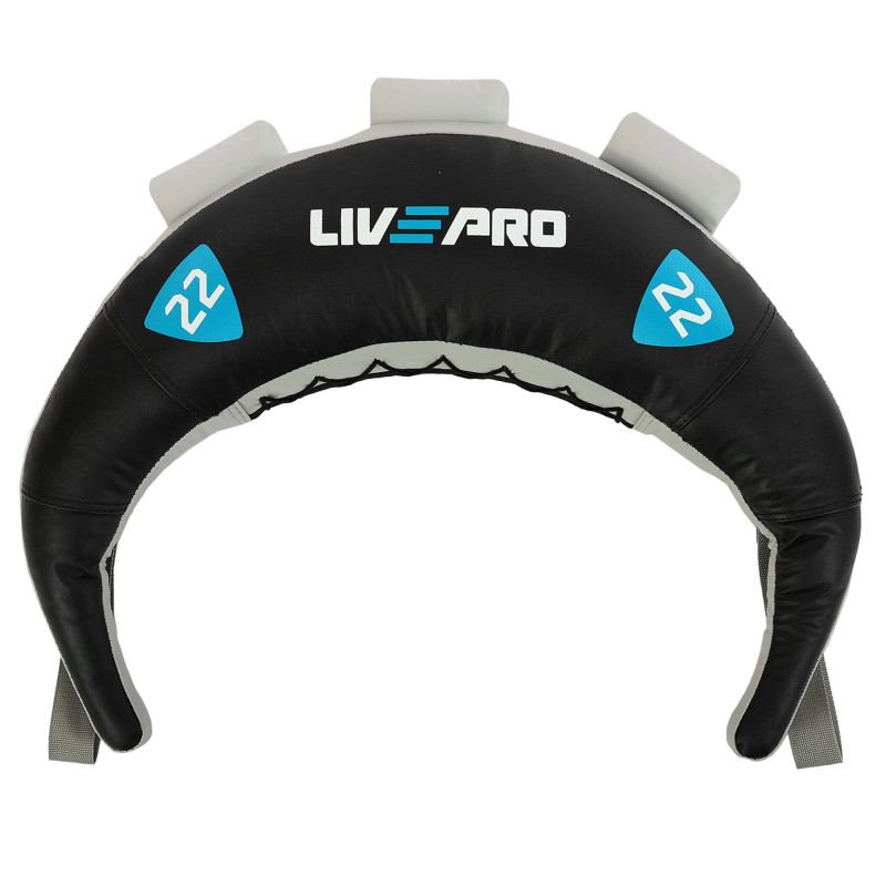 Мішок Болгарський Bulgarian bag LiveUp LP8130-22 22кг чорний-синій