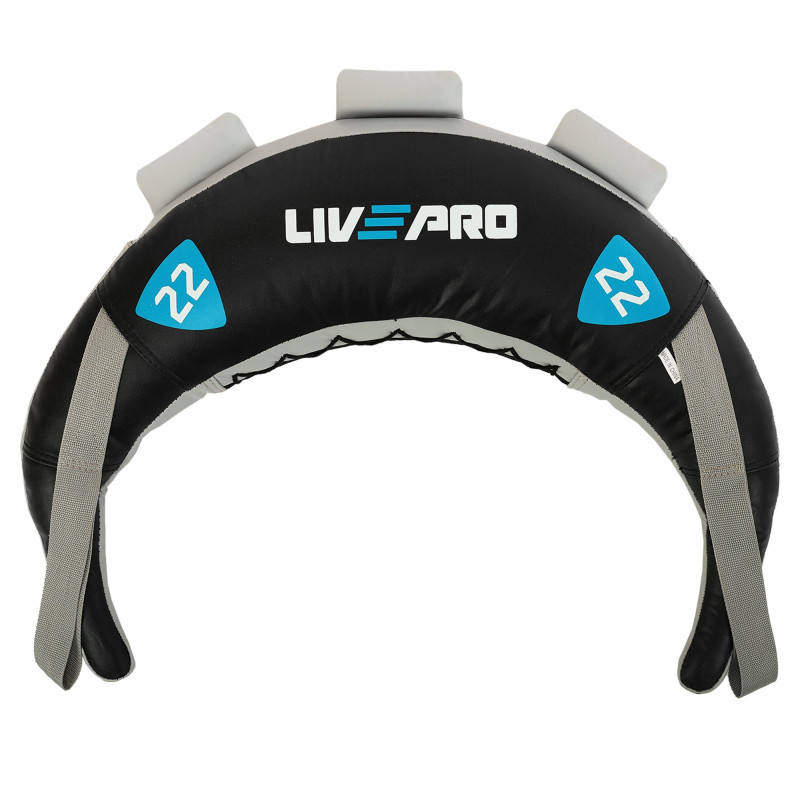 Мішок Болгарський Bulgarian bag LiveUp LP8130-22 22кг чорний-синій