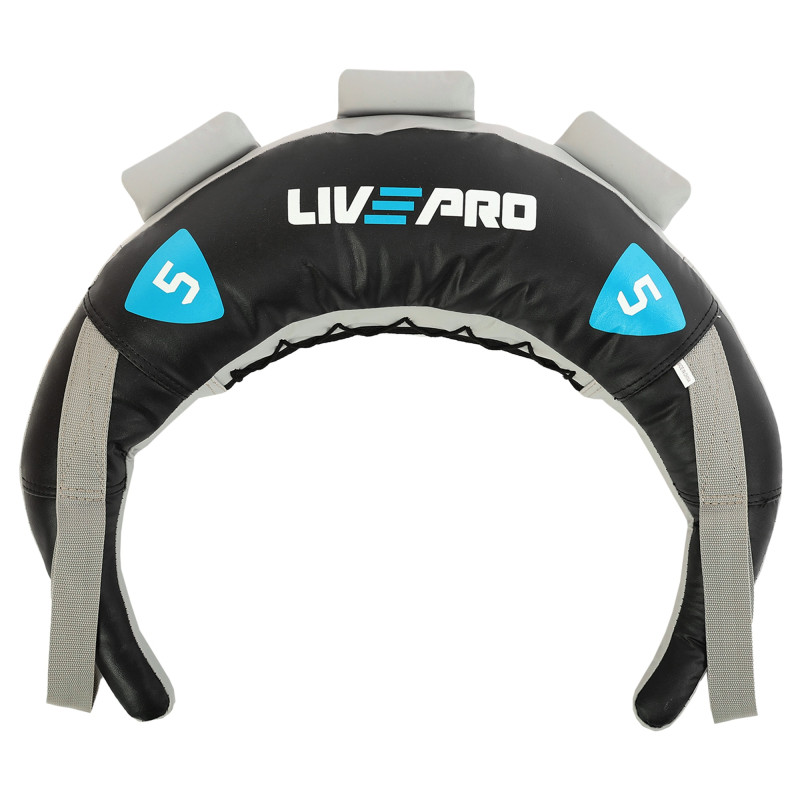 Мішок Болгарський Bulgarian bag LiveUp LP8130-5 5кг чорний-синій