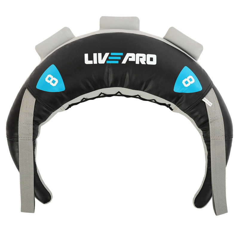 Мішок Болгарський Bulgarian bag LiveUp LP8130-8 8кг чорний-синій
